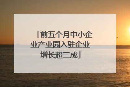 前五个月中小企业产业园入驻企业增长超三成