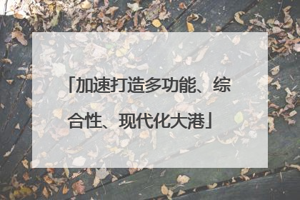 加速打造多功能、综合性、现代化大港