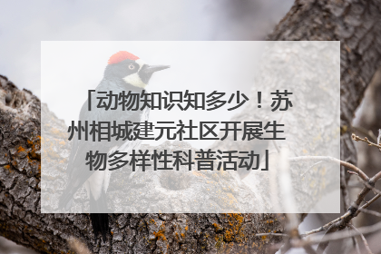 动物知识知多少！苏州相城建元社区开展生物多样性科普活动