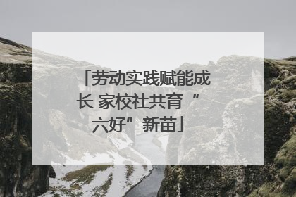 劳动实践赋能成长 家校社共育“六好”新苗