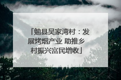 勉县吴家湾村：发展烤烟产业 助推乡村振兴富民增收