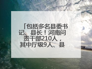 包括多名县委书记、县长！河南问责干部210人，其中厅级9人、县处级71人