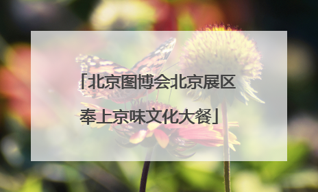 北京图博会北京展区奉上京味文化大餐