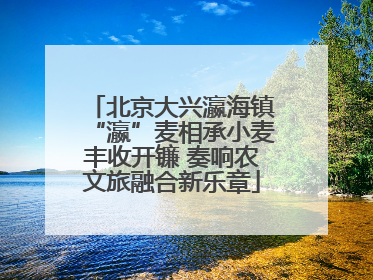 北京大兴瀛海镇“瀛”麦相承小麦丰收开镰 奏响农文旅融合新乐章