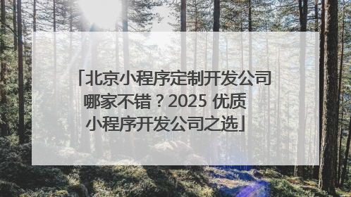北京小程序定制开发公司哪家不错？2025 优质小程序开发公司之选