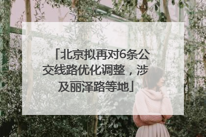 北京拟再对6条公交线路优化调整，涉及丽泽路等地