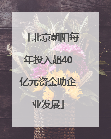 北京朝阳每年投入超40亿元资金助企业发展