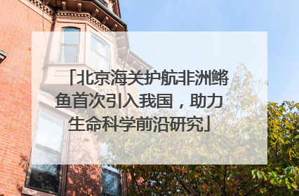 北京海关护航非洲鳉鱼首次引入我国，助力生命科学前沿研究