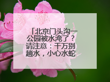 北京门头沟一公园被水淹了？请注意：千万别趟水，小心水蛇、水蛭……