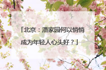 北京：潘家园何以悄悄成为年轻人心头好？