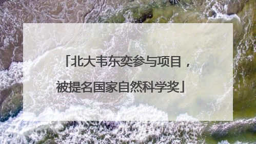 北大韦东奕参与项目，被提名国家自然科学奖