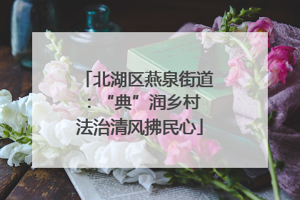 北湖区燕泉街道：“典”润乡村 法治清风拂民心