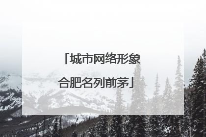 城市网络形象合肥名列前茅
