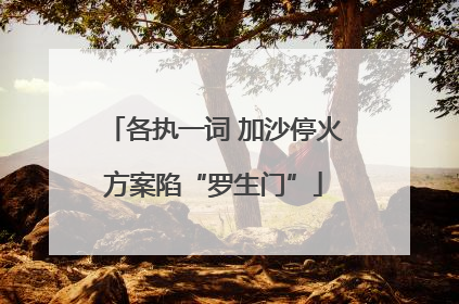 各执一词 加沙停火方案陷“罗生门”