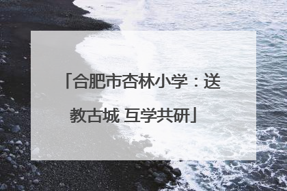 合肥市杏林小学：送教古城 互学共研