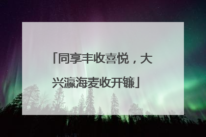 同享丰收喜悦，大兴瀛海麦收开镰