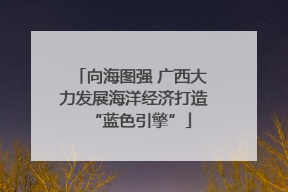 向海图强 广西大力发展海洋经济打造“蓝色引擎”