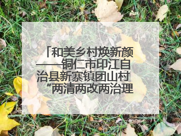 和美乡村焕新颜——铜仁市印江自治县新寨镇团山村“两清两改两治理”见闻