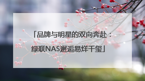 品牌与明星的双向奔赴：绿联NAS邂逅易烊千玺