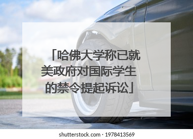 哈佛大学称已就美政府对国际学生的禁令提起诉讼