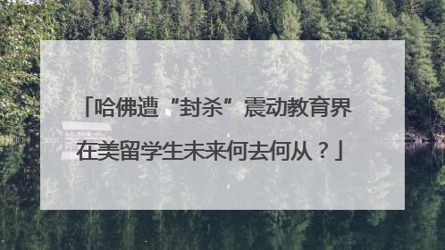 哈佛遭“封杀”震动教育界 在美留学生未来何去何从？