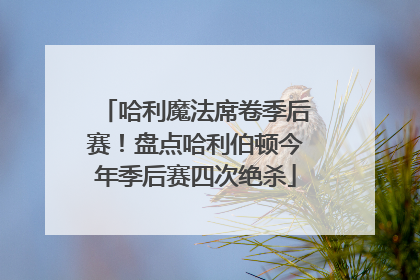 哈利魔法席卷季后赛！盘点哈利伯顿今年季后赛四次绝杀
