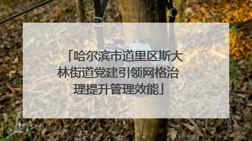 哈尔滨市道里区斯大林街道党建引领网格治理提升管理效能