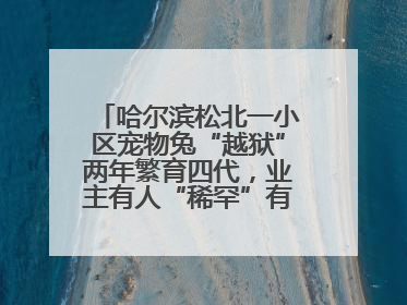 哈尔滨松北一小区宠物兔“越狱”两年繁育四代，业主有人“稀罕”有人忧，专家提醒