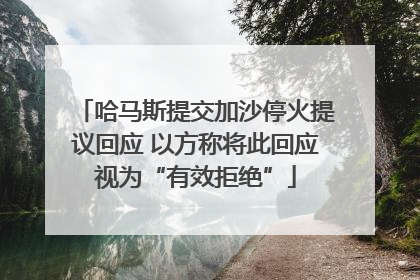哈马斯提交加沙停火提议回应 以方称将此回应视为“有效拒绝”