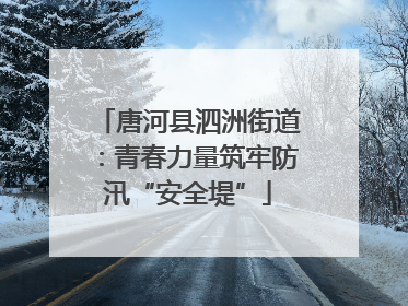 唐河县泗洲街道：青春力量筑牢防汛“安全堤”