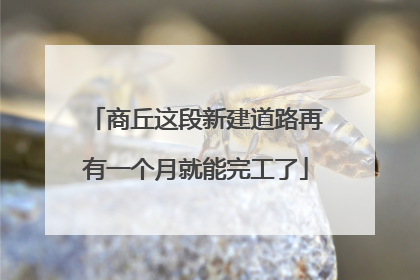商丘这段新建道路再有一个月就能完工了