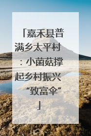 嘉禾县普满乡太平村：小菌菇撑起乡村振兴“致富伞”