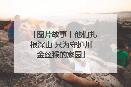图片故事丨他们扎根深山 只为守护川金丝猴的家园