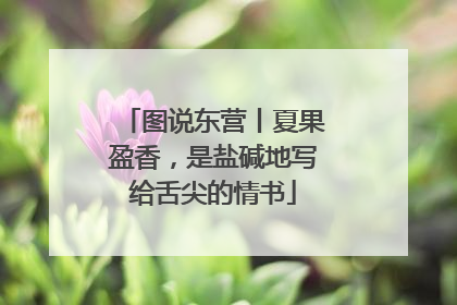 图说东营丨夏果盈香，是盐碱地写给舌尖的情书