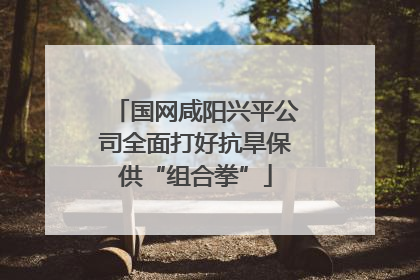 国网咸阳兴平公司全面打好抗旱保供“组合拳”