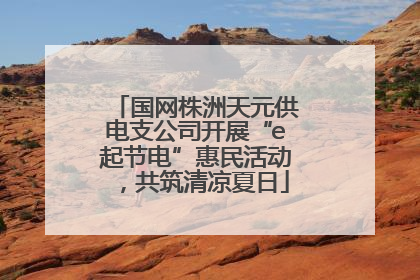 国网株洲天元供电支公司开展“e起节电”惠民活动，共筑清凉夏日