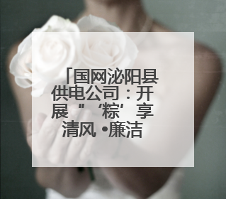 国网泌阳县供电公司：开展“‘粽’享清风 •廉洁端午”活动