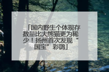 国内野生个体现存数量比大熊猫更为稀少！扬州首次发现“国宝”彩鹮