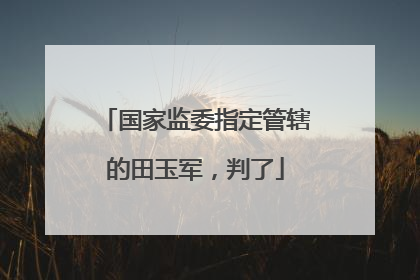 国家监委指定管辖的田玉军，判了