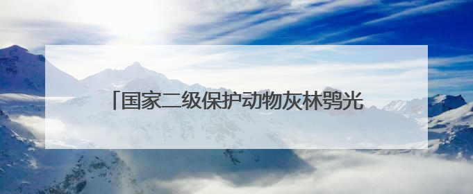 国家二级保护动物灰林鸮光临竹山上庸“鲜花小镇”