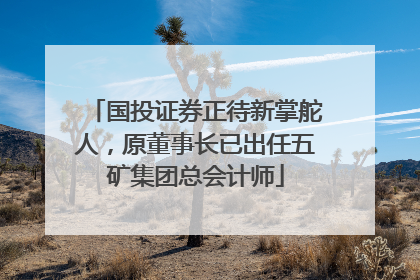 国投证券正待新掌舵人，原董事长已出任五矿集团总会计师