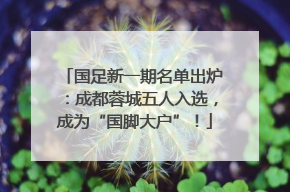 国足新一期名单出炉：成都蓉城五人入选，成为“国脚大户”！