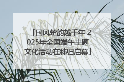 国风楚韵越千年 2025年全国端午主题文化活动在秭归启幕
