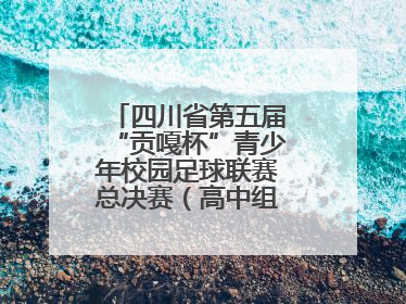 四川省第五届“贡嘎杯”青少年校园足球联赛总决赛（高中组）火热开赛