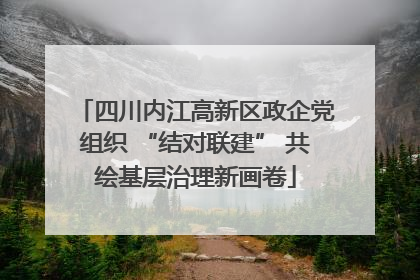 四川内江高新区政企党组织 “结对联建” 共绘基层治理新画卷