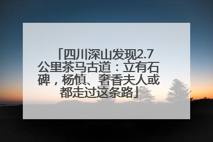 四川深山发现2.7公里茶马古道：立有石碑，杨慎、奢香夫人或都走过这条路