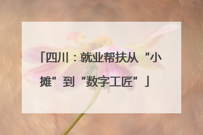 四川：就业帮扶从“小摊”到“数字工匠”
