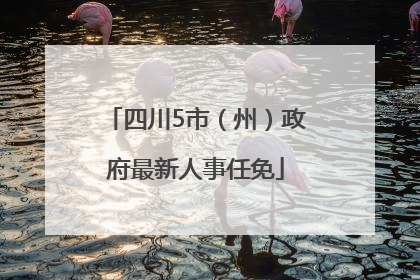 四川5市（州）政府最新人事任免