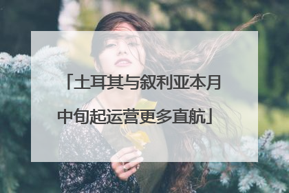 土耳其与叙利亚本月中旬起运营更多直航