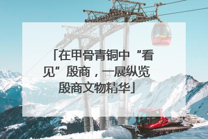 在甲骨青铜中“看见”殷商，一展纵览殷商文物精华